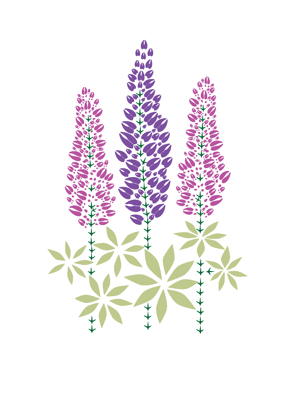 Lupine Note Cards