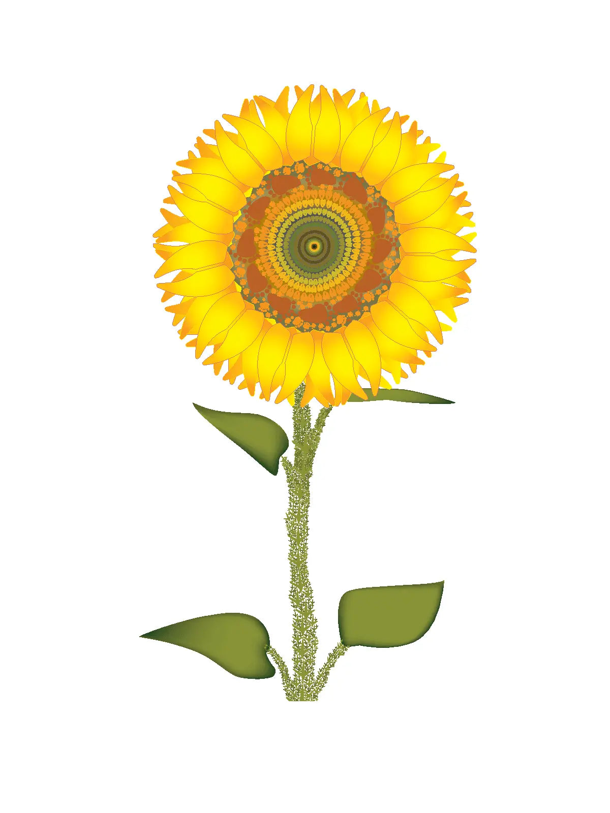Sunflower Note Cards