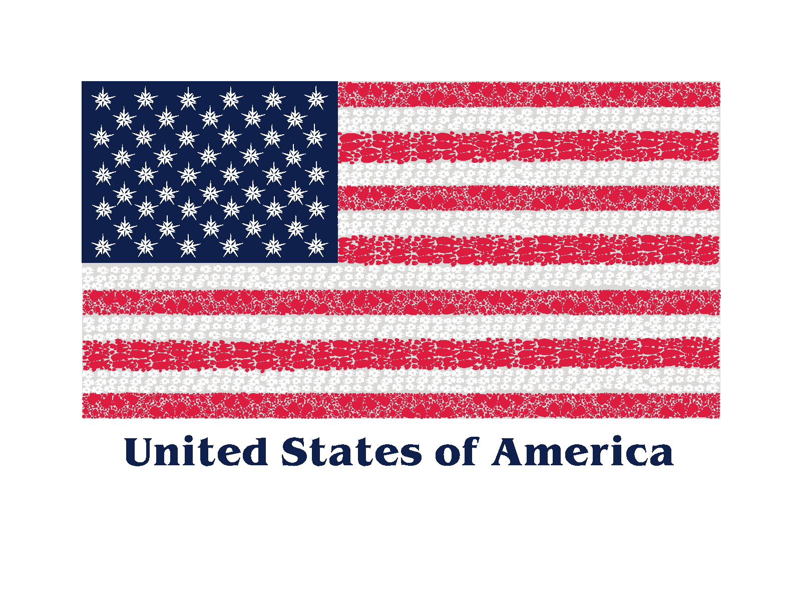 8 American Flag Note Card Box - Animal Track Designs